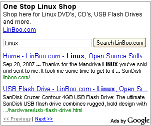 Google AdSense New Ad Format