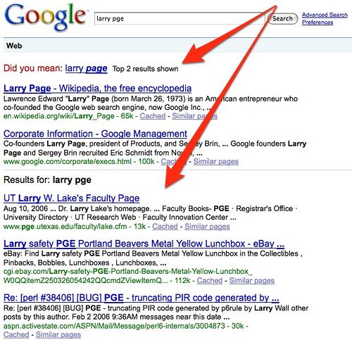 Google-Did You Mean Feature