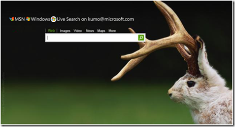 MSN Windows Live Search
