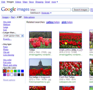 image search