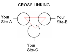 cross linking SEO Tips  Guide To Cross Linking