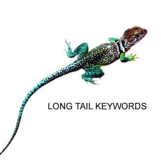 long tail