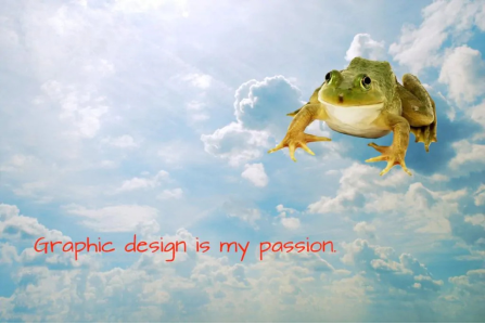 The Classic Frog Art