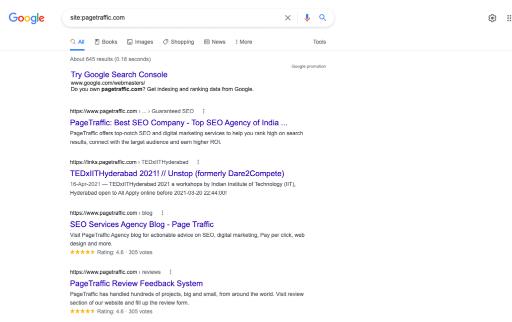 Website Search in Google