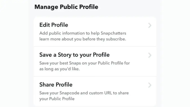 Manage Snapchat Public Profile