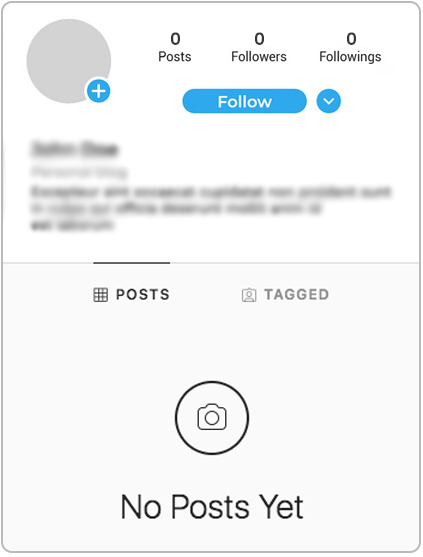 Instagram User Profile