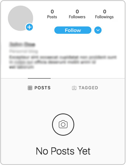 Instagram User Profile Instagram User Profile