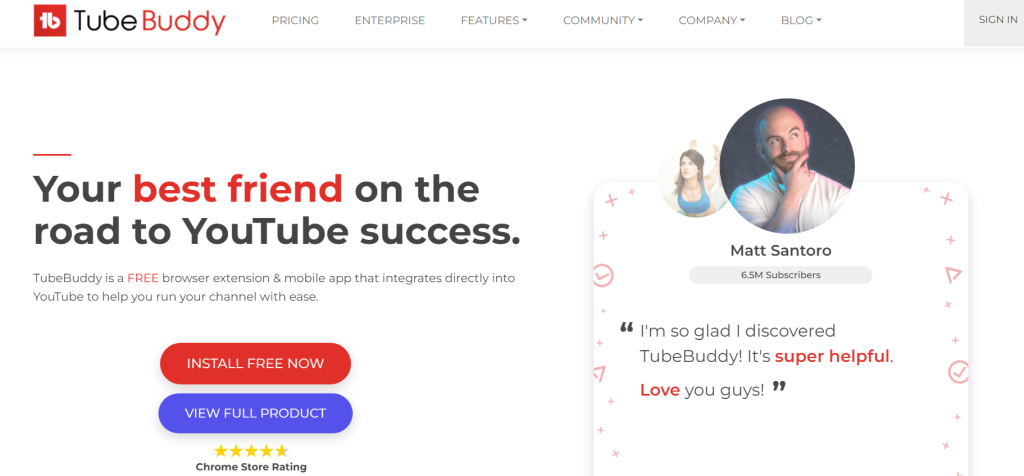 TubeBuddy