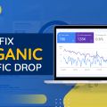 Understanding The Causes Of Organic Traffic Drop - How To Fix It