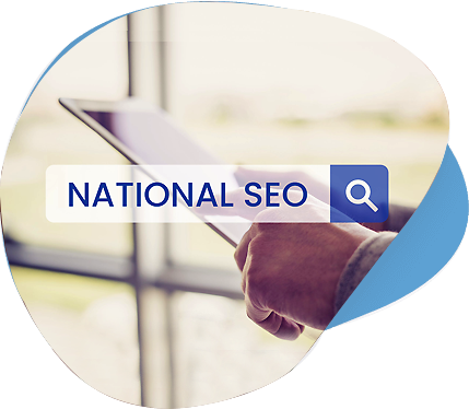 National SEO Packages
