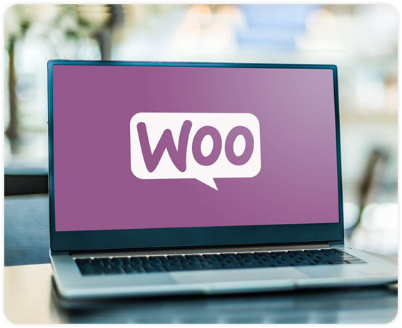 WooCommerce Store SEO