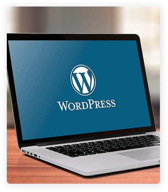 WordPress SEO Consultant