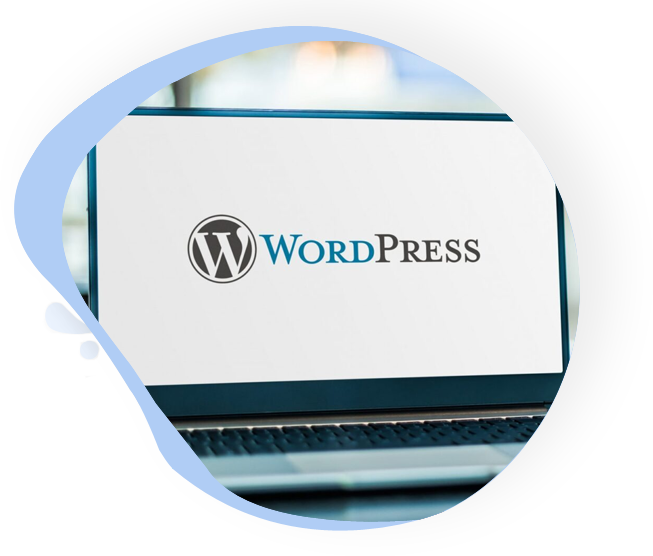 WordPress SEO Services